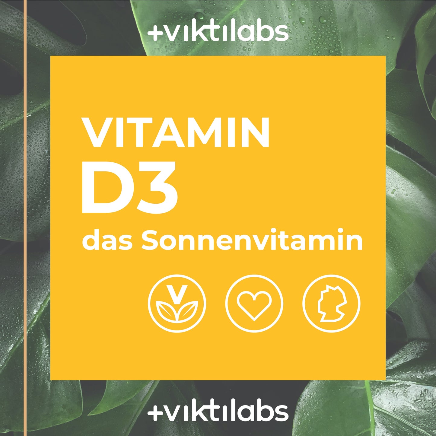 Vitamin D3 in hochwertigem Öl gelöst- 50ml